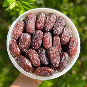 خرما مجول سوپر صادراتی