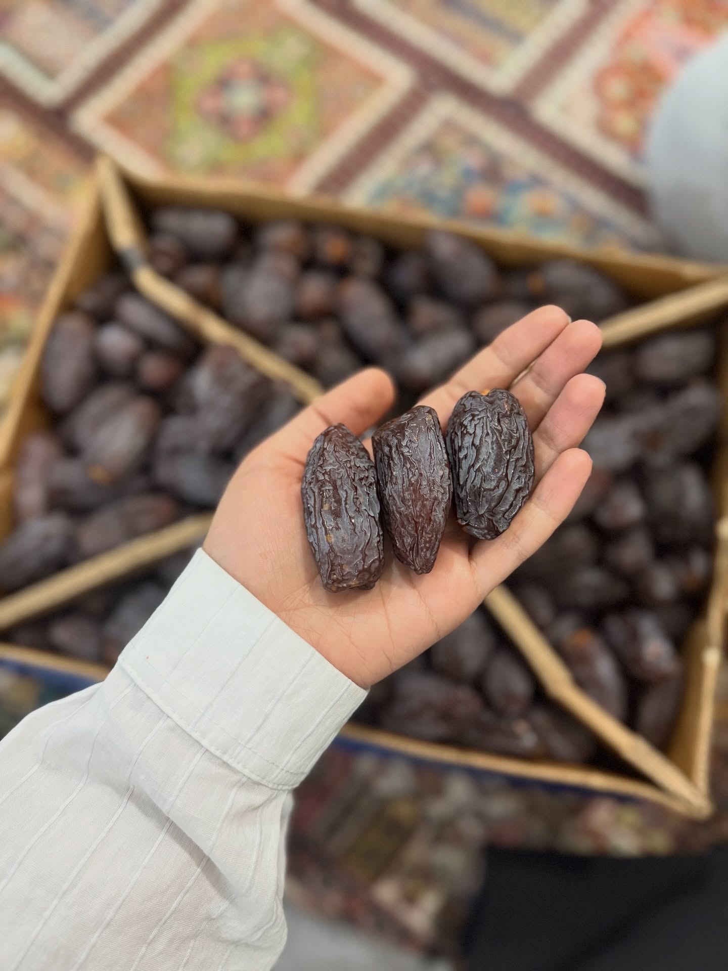 خرمای مجول؛ جواهری شیرین با ۷ خاصیت شگفت‌انگیز برای تندرستی بدن